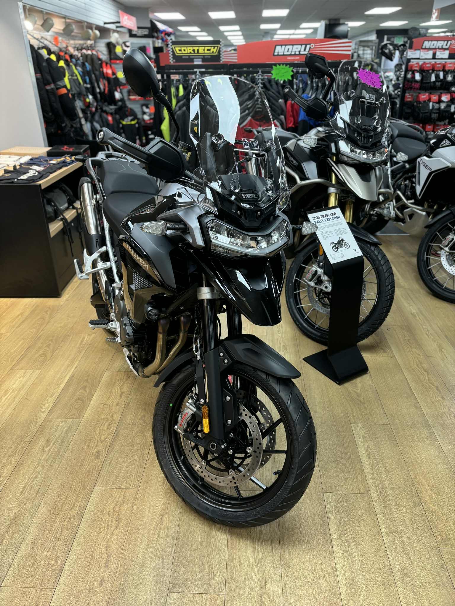 2025 Triumph Tiger 1200 GT Pro - Photo 10
