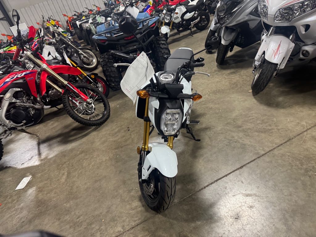 2025 Honda GROM 125 - Photo 2