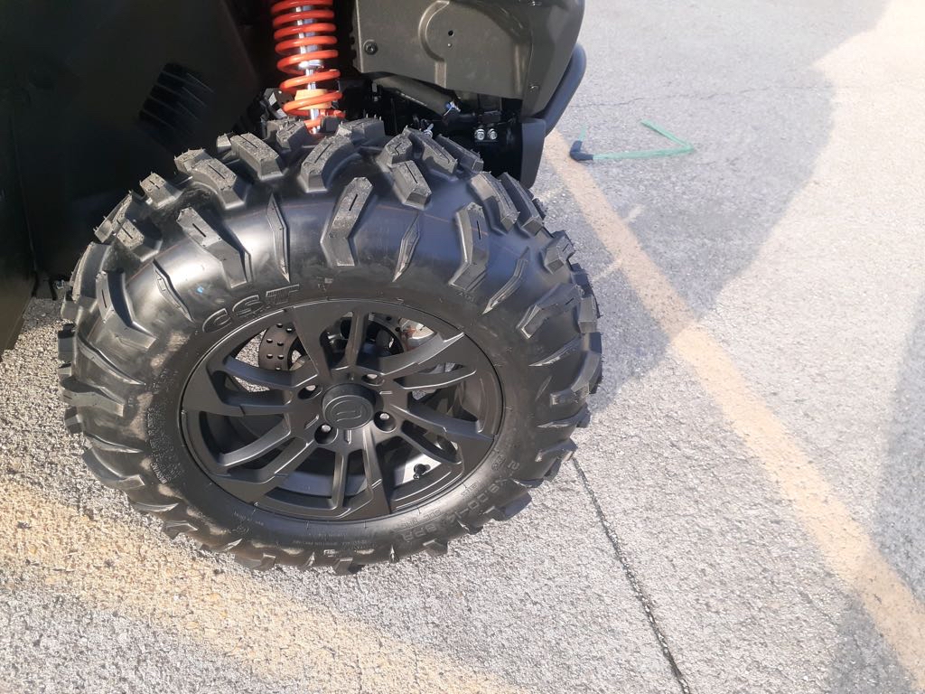 2025 CFMOTO CFORCE 1000 OVERLAND - Photo 3