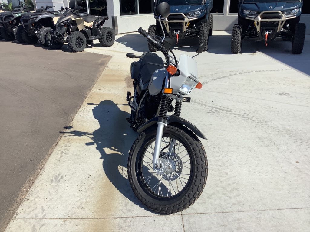 2025 Yamaha TW 200 - Photo 4