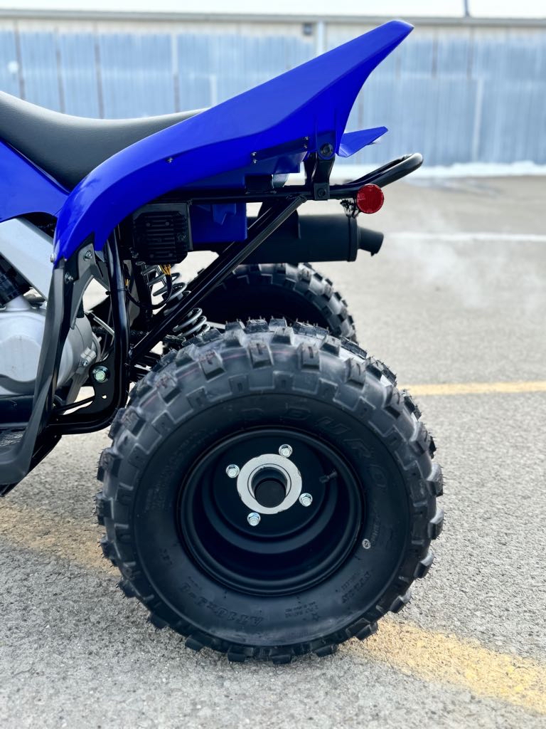 2025 Yamaha RAPTOR 110 - Photo 9