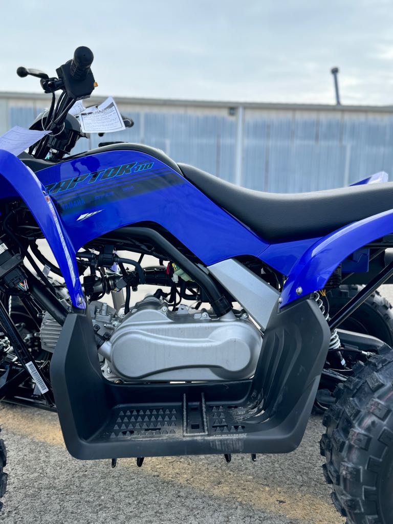 2025 Yamaha RAPTOR 110 - Photo 8