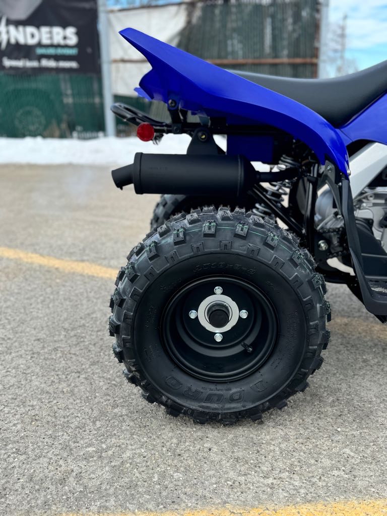 2025 Yamaha RAPTOR 110 - Photo 4