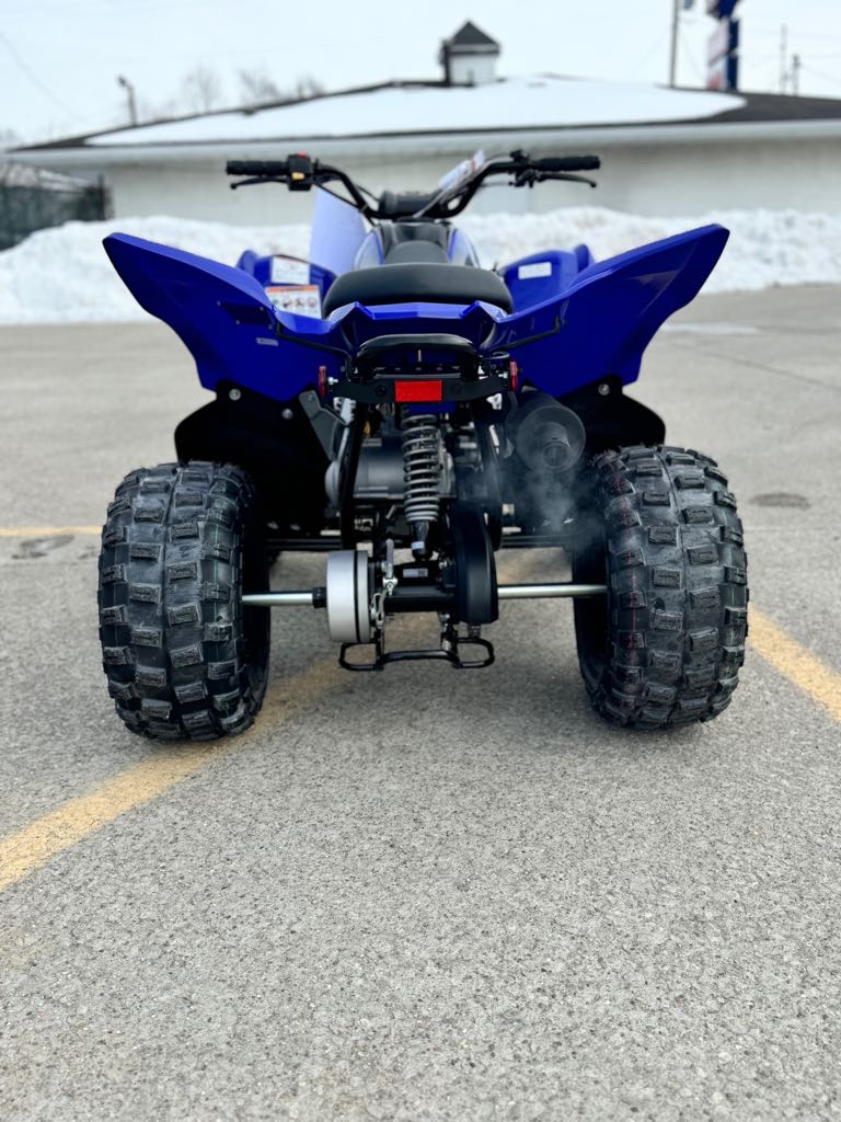 2025 Yamaha RAPTOR 110 - Photo 10