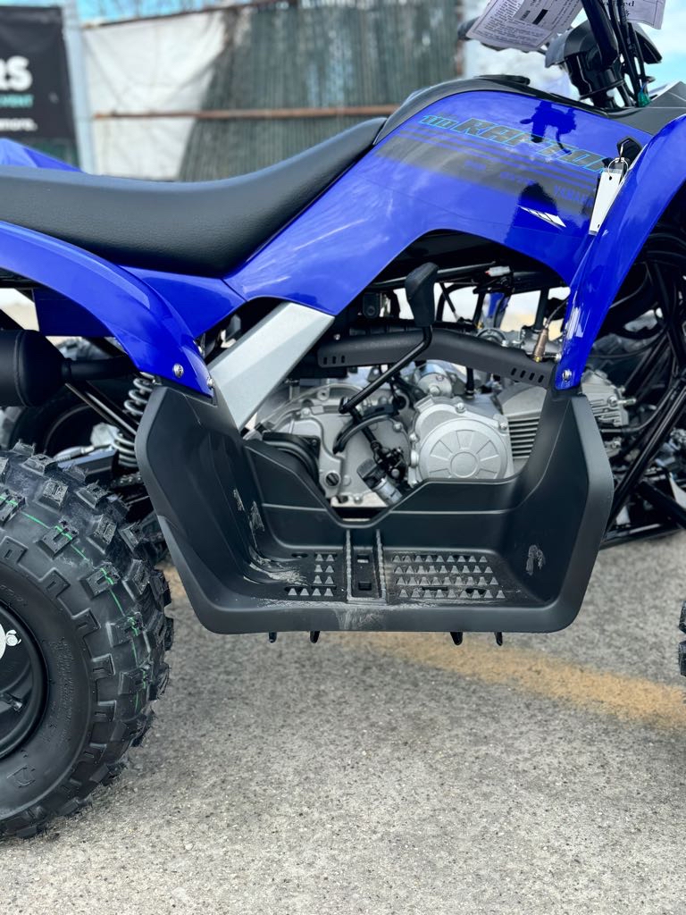 2025 Yamaha RAPTOR 110 - Photo 3