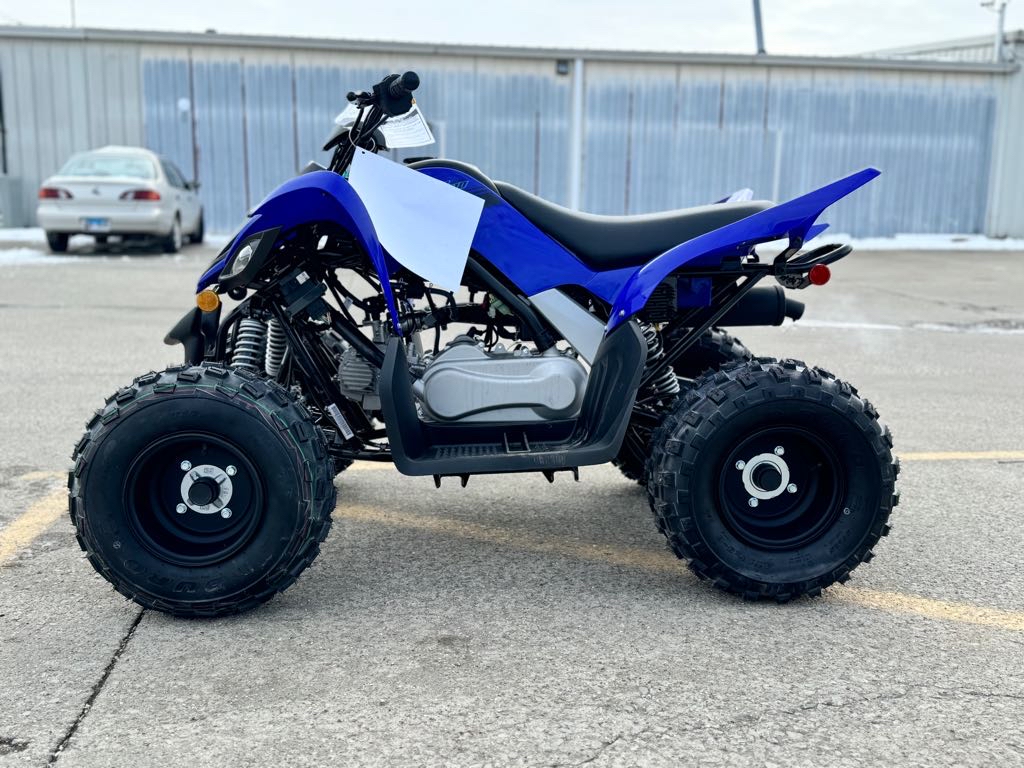 2025 Yamaha RAPTOR 110 - Photo 6