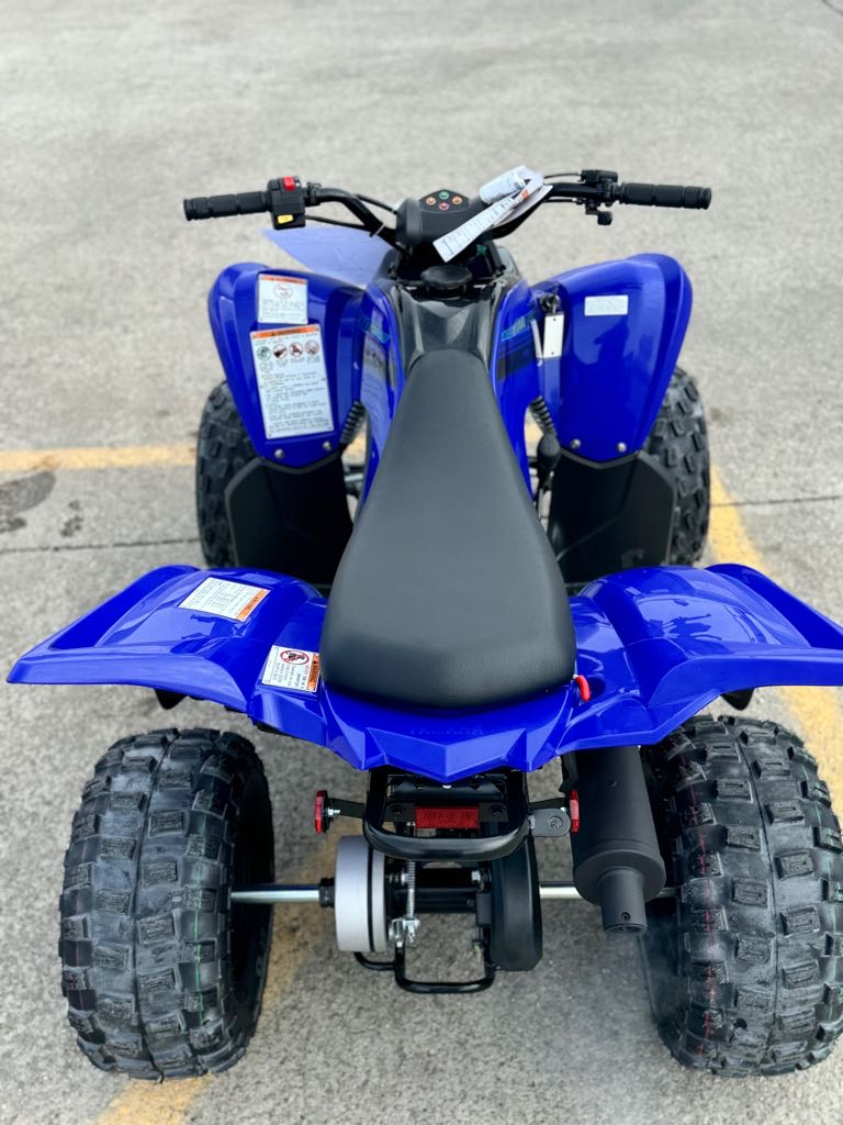 2025 Yamaha RAPTOR 110 - Photo 11