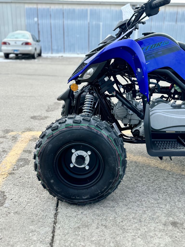 2025 Yamaha RAPTOR 110 - Photo 7
