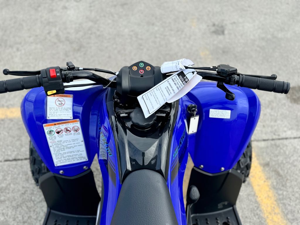 2025 Yamaha RAPTOR 110 - Photo 12