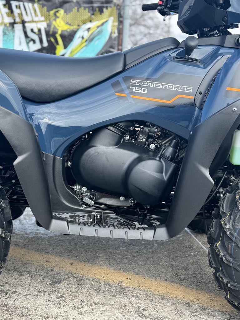 2025 Kawasaki BRUTE FORCE 750 EPS - Photo 3