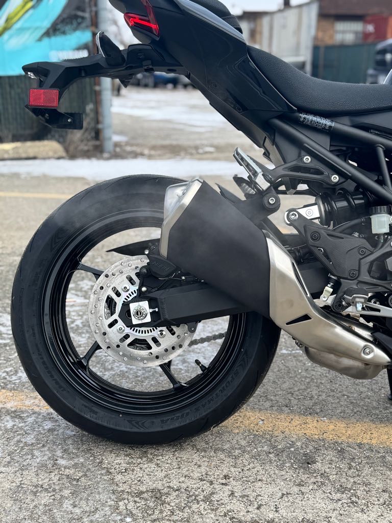 2025 Kawasaki Z900 ABS - Photo 4