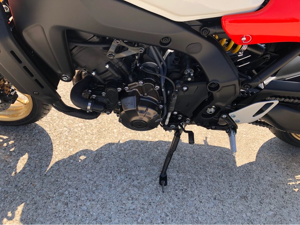2024 Yamaha XSR 900 - Photo 19