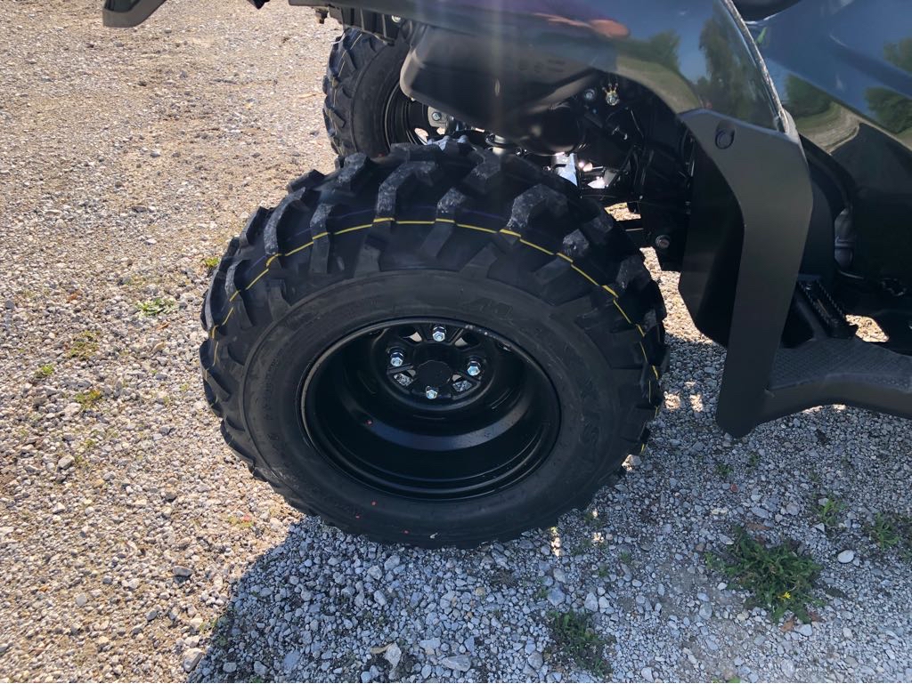 2025 Honda FOREMAN 4X4 4x4 - Photo 5