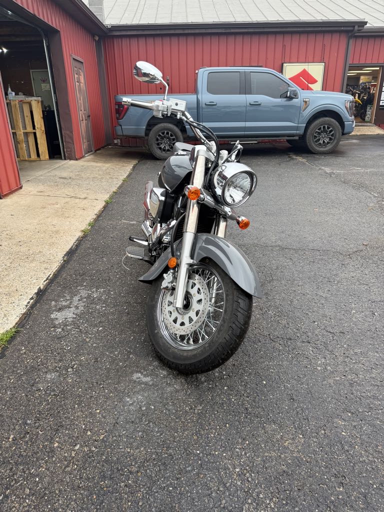 2025 Suzuki VL 800 M5 - Photo 3