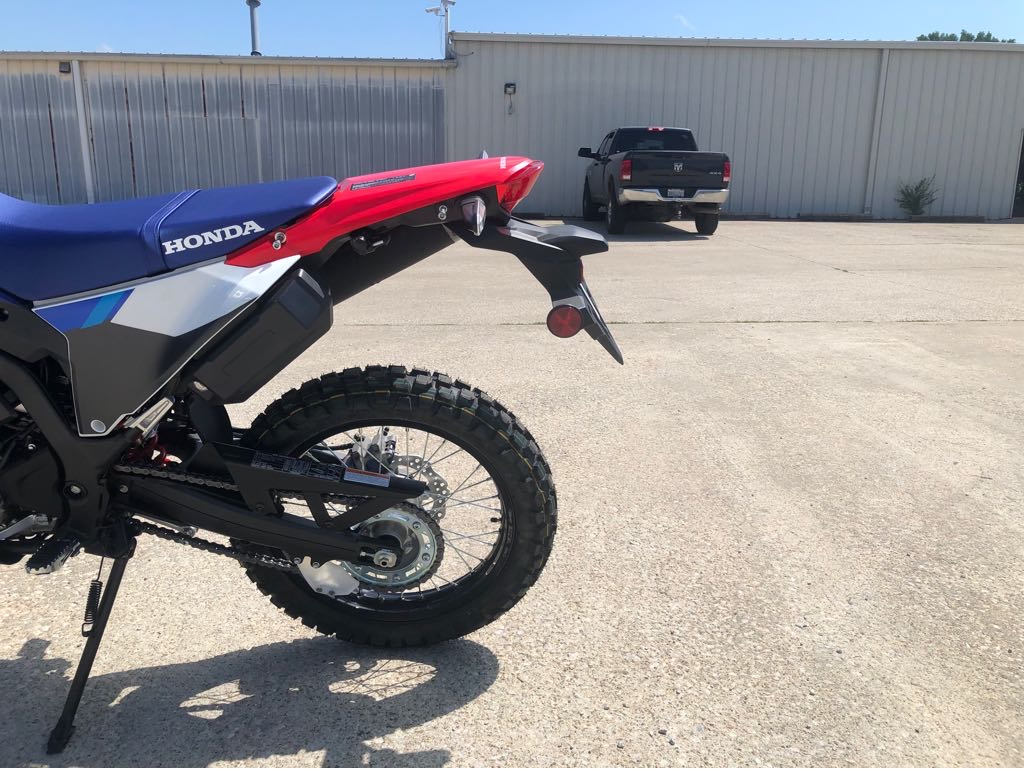 2025 Honda CRF 300L RALLY - Photo 6