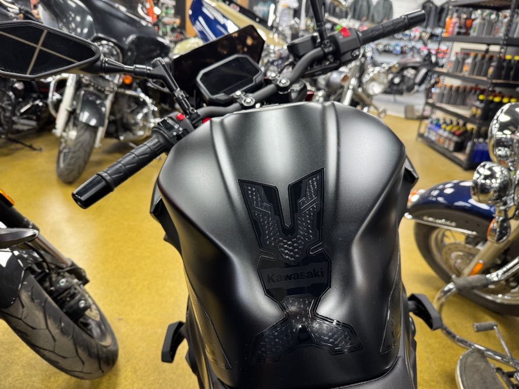2025 Kawasaki Z500 SE ABS - Photo 2