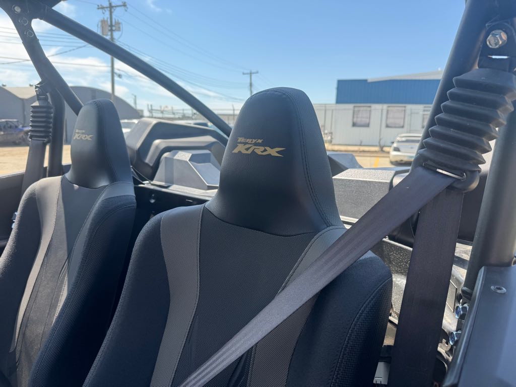 2025 Kawasaki Teryx® KRX™ 1000 Blackout Edition - Photo 2