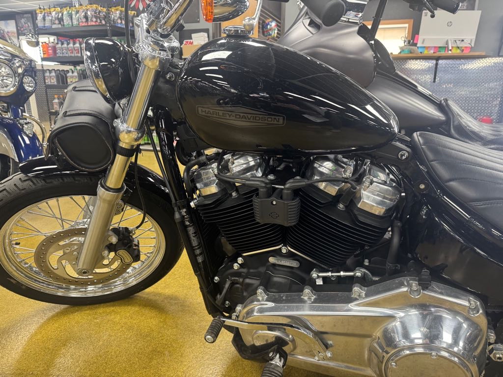 2020 Harley-Davidson® Softail® Standard - Photo 2