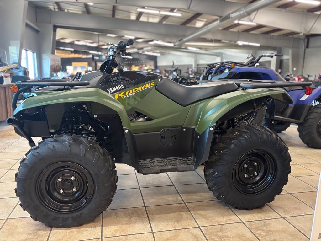 2025 Yamaha Kodiak 700 - Photo 3