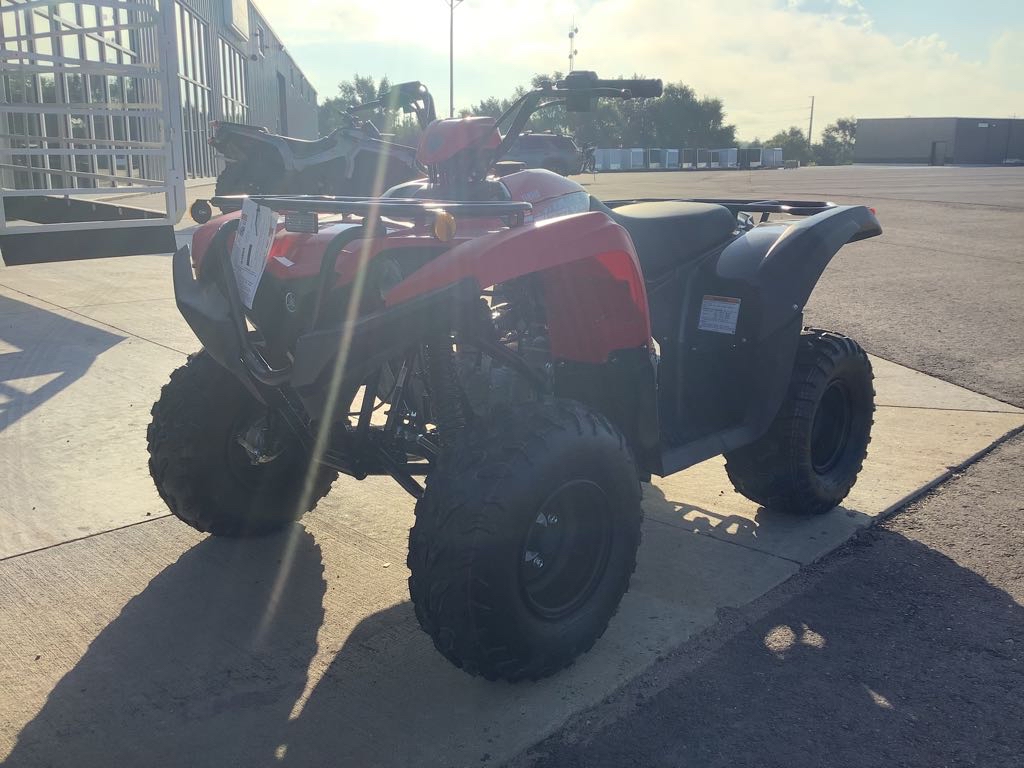 2025 Yamaha Grizzly 110 - Photo 4