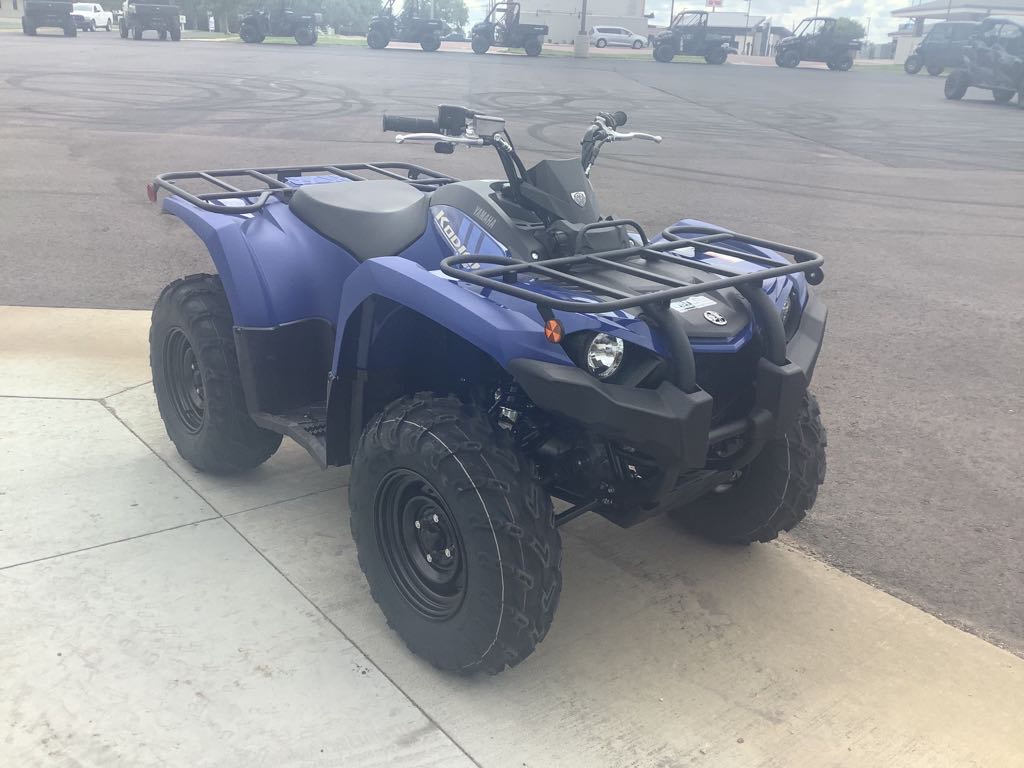 2025 Yamaha Kodiak 450 - Photo 2