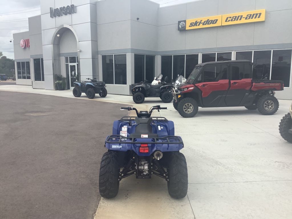 2025 Yamaha Kodiak 450 - Photo 7