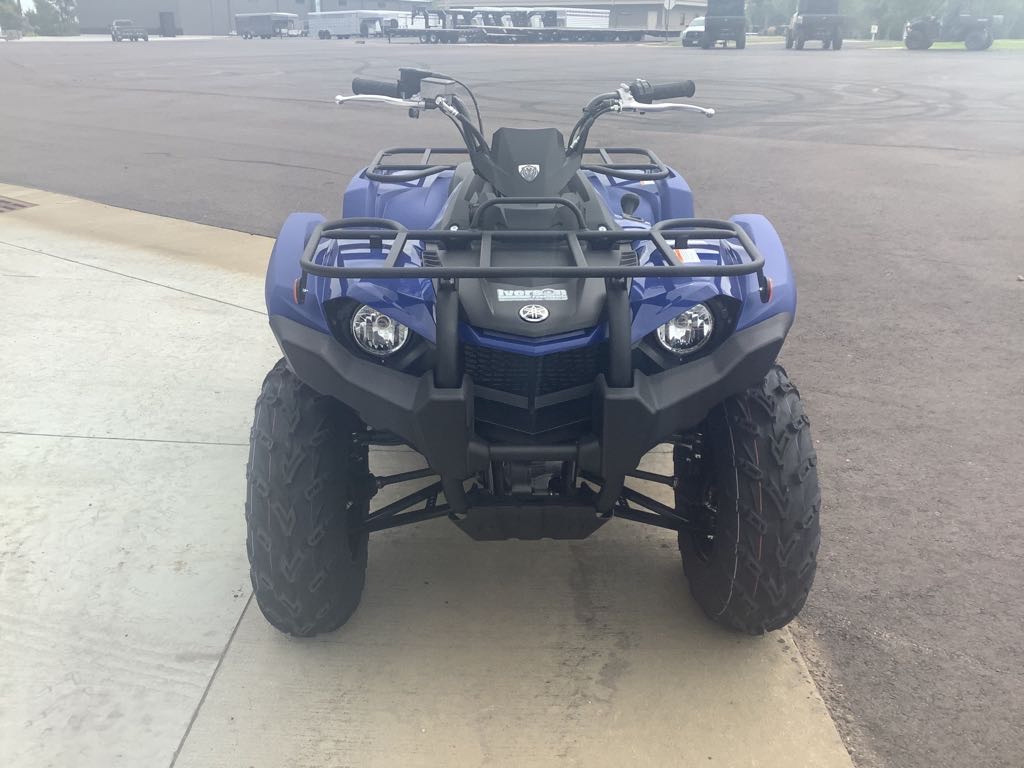 2025 Yamaha Kodiak 450 - Photo 3