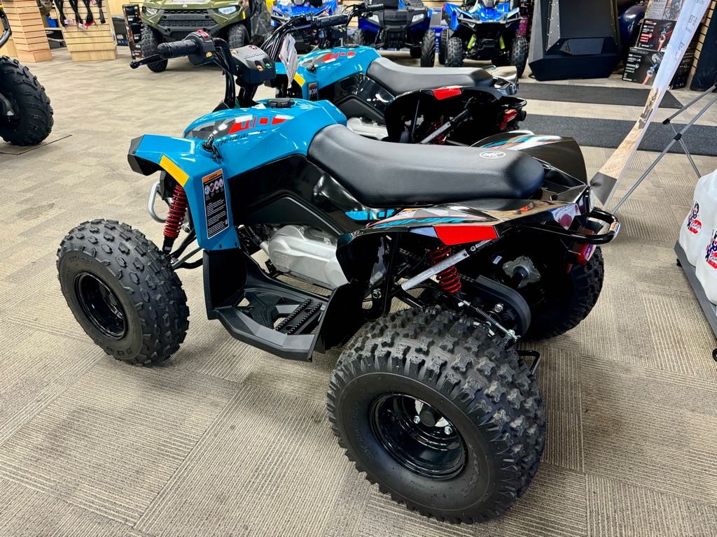 2026 Can-Am Renegade 110 EFI - Photo 4