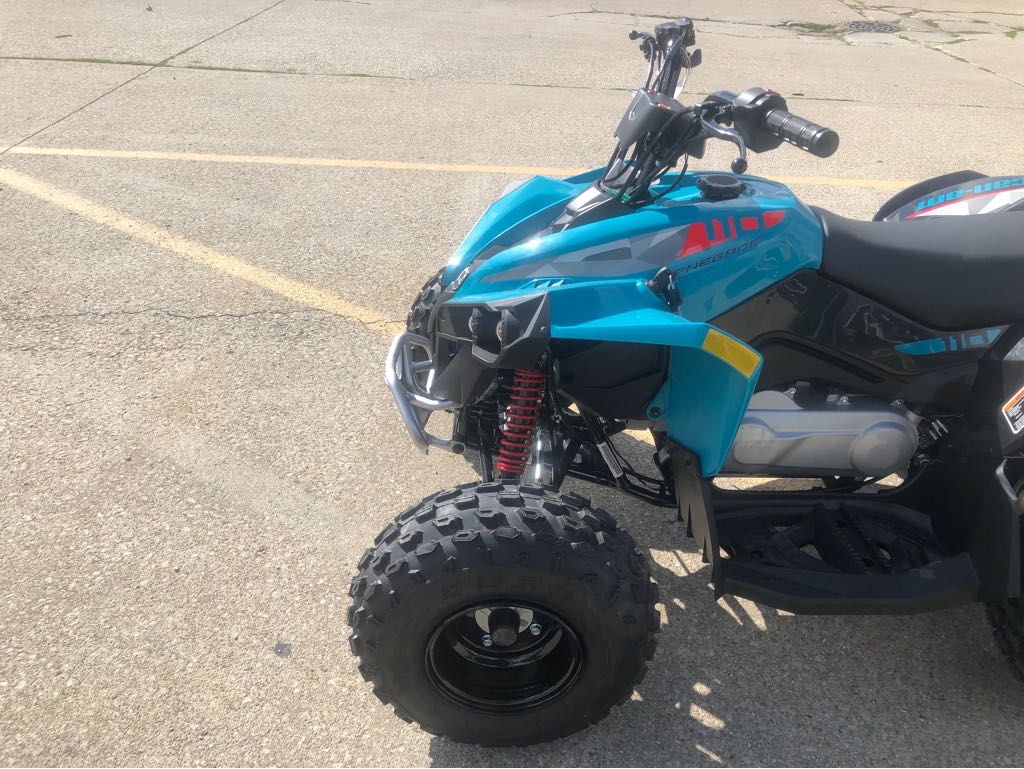 2026 Can-Am RENEGADE 110 EFI - Photo 8