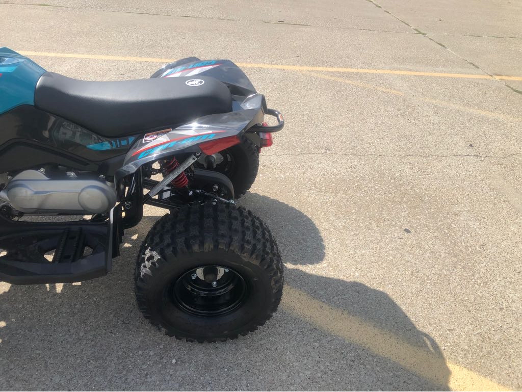 2026 Can-Am RENEGADE 110 EFI - Photo 6