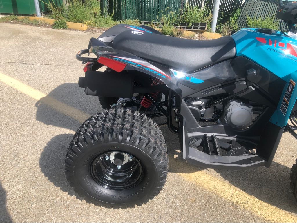 2026 Can-Am RENEGADE 110 EFI - Photo 4