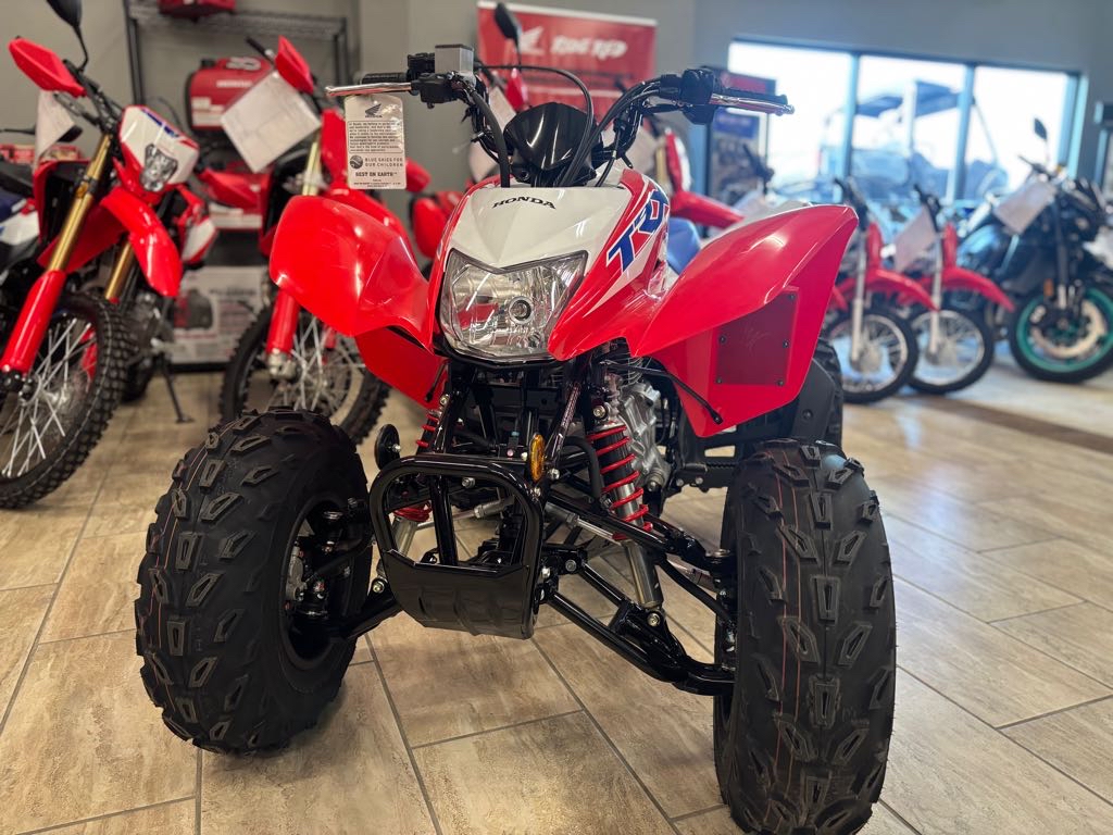 2026 Honda TRX250X - Photo 2