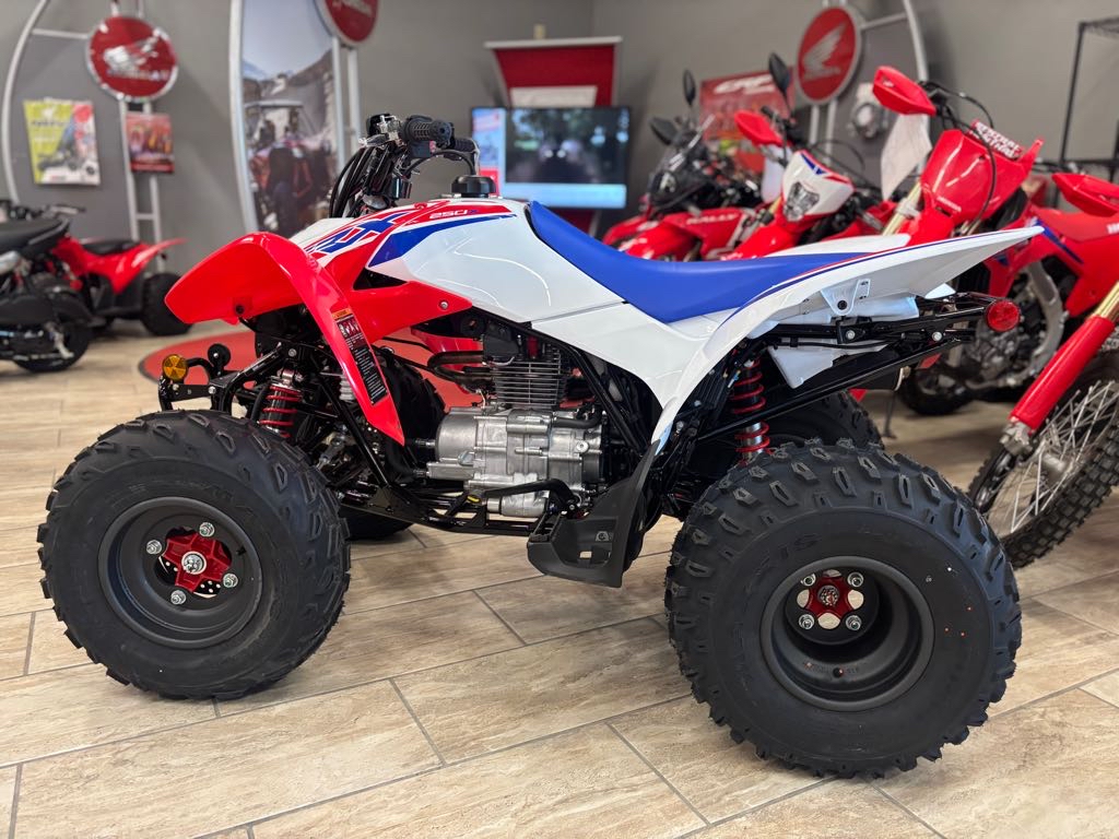 2026 Honda TRX250X - Photo 3