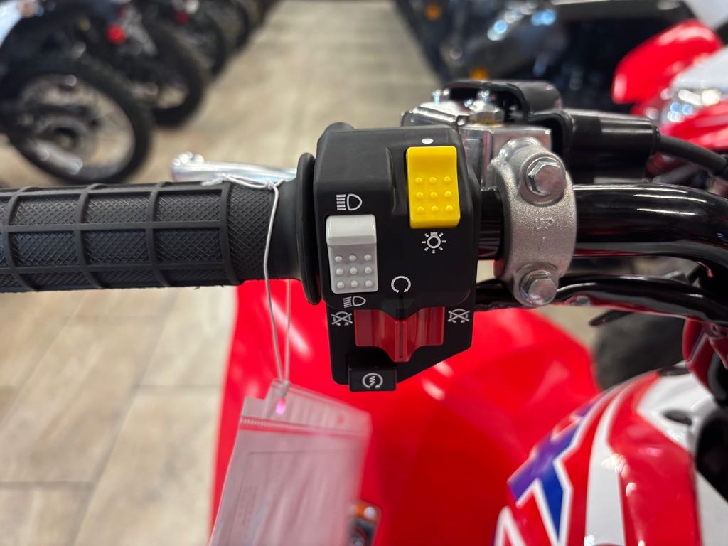 2026 Honda TRX250X - Photo 8