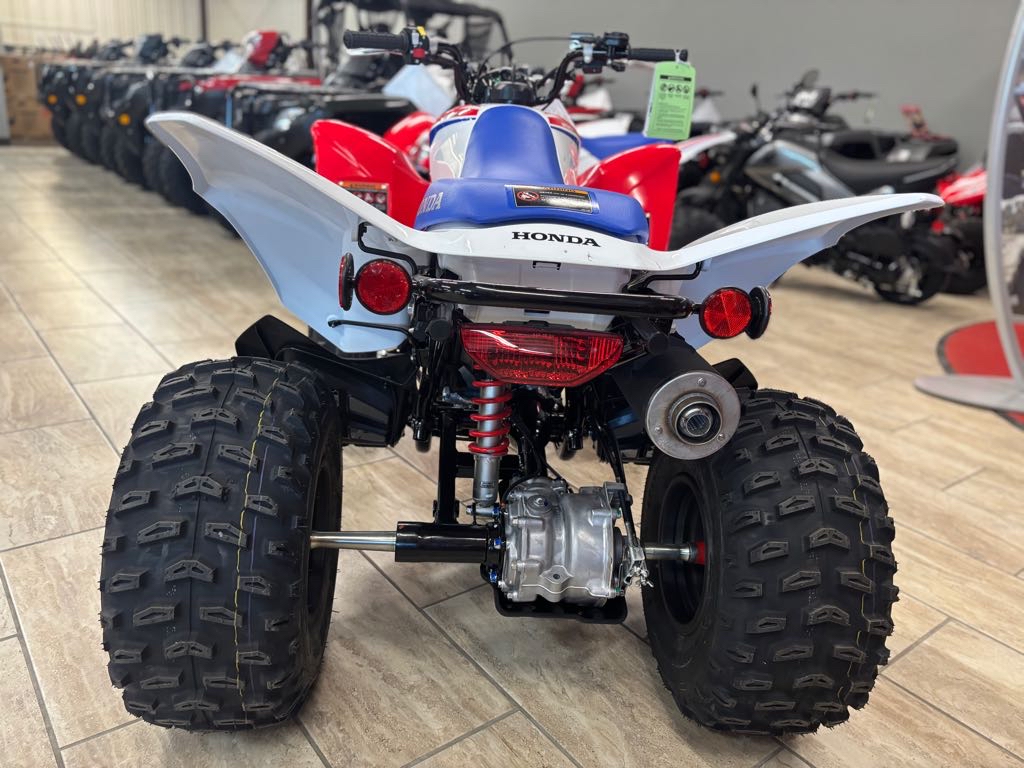 2026 Honda TRX250X - Photo 7