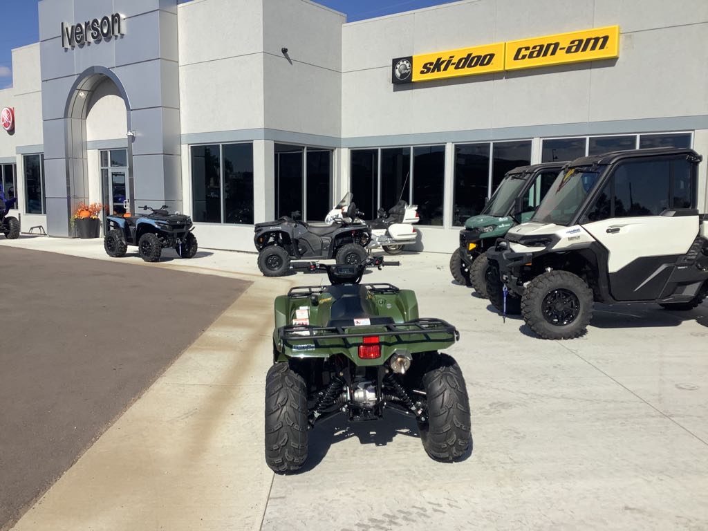 2025 Yamaha Kodiak 450 EPS - Photo 7