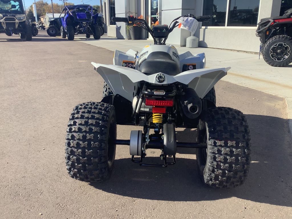 2026 Can-Am Renegade 110 EFI - Photo 3
