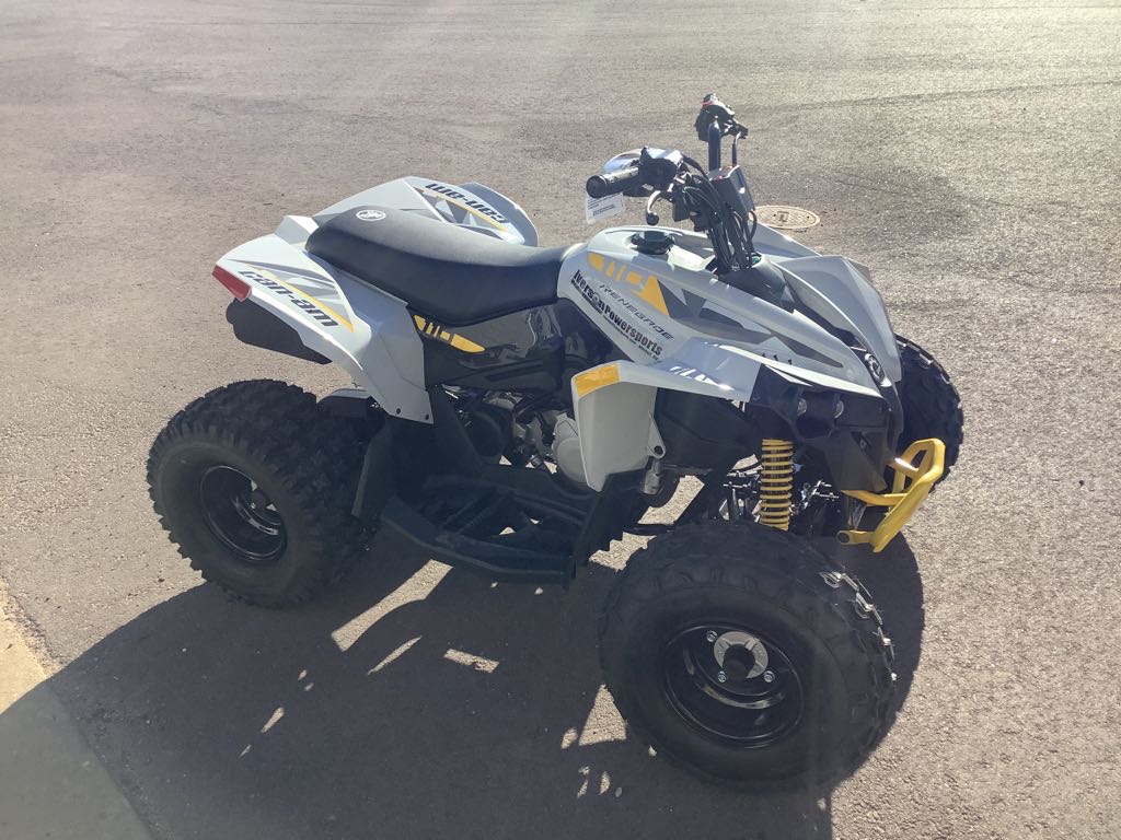 2026 Can-Am Renegade 110 EFI - Photo 5
