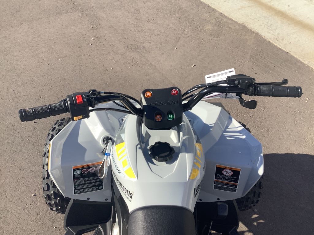 2026 Can-Am Renegade 110 EFI - Photo 6