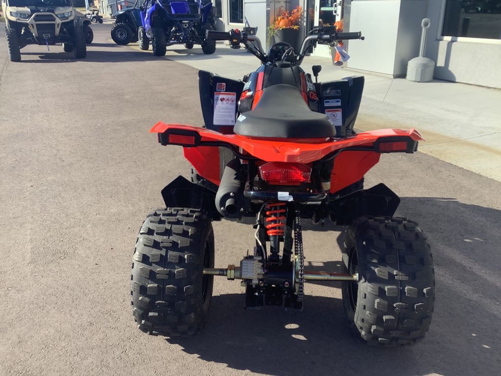 2026 Can-Am DS 250 - Photo 3