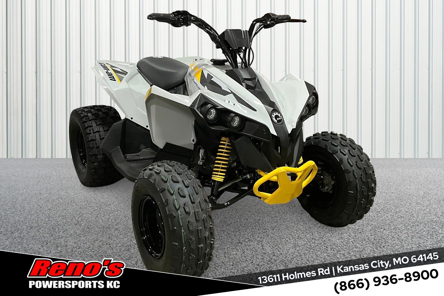 2025 Can-Am Renegade 110 EFI