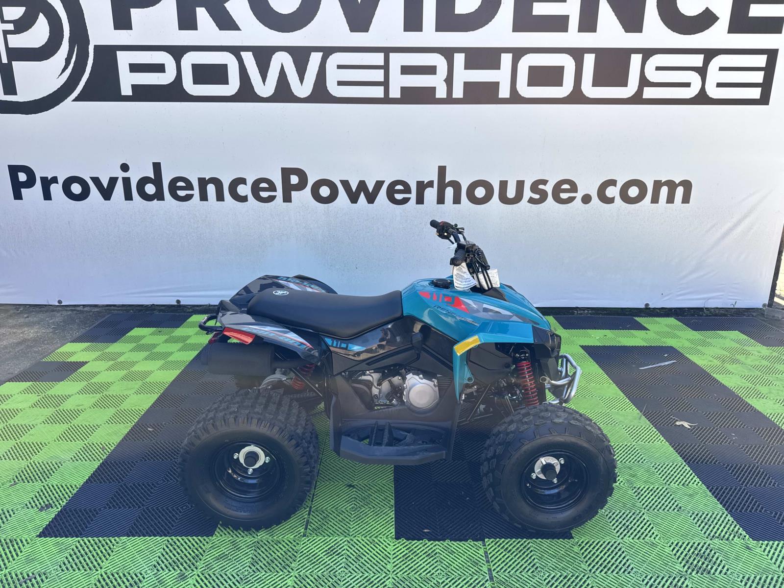 2026 Can-Am Renegade 110 EFI - Photo 7