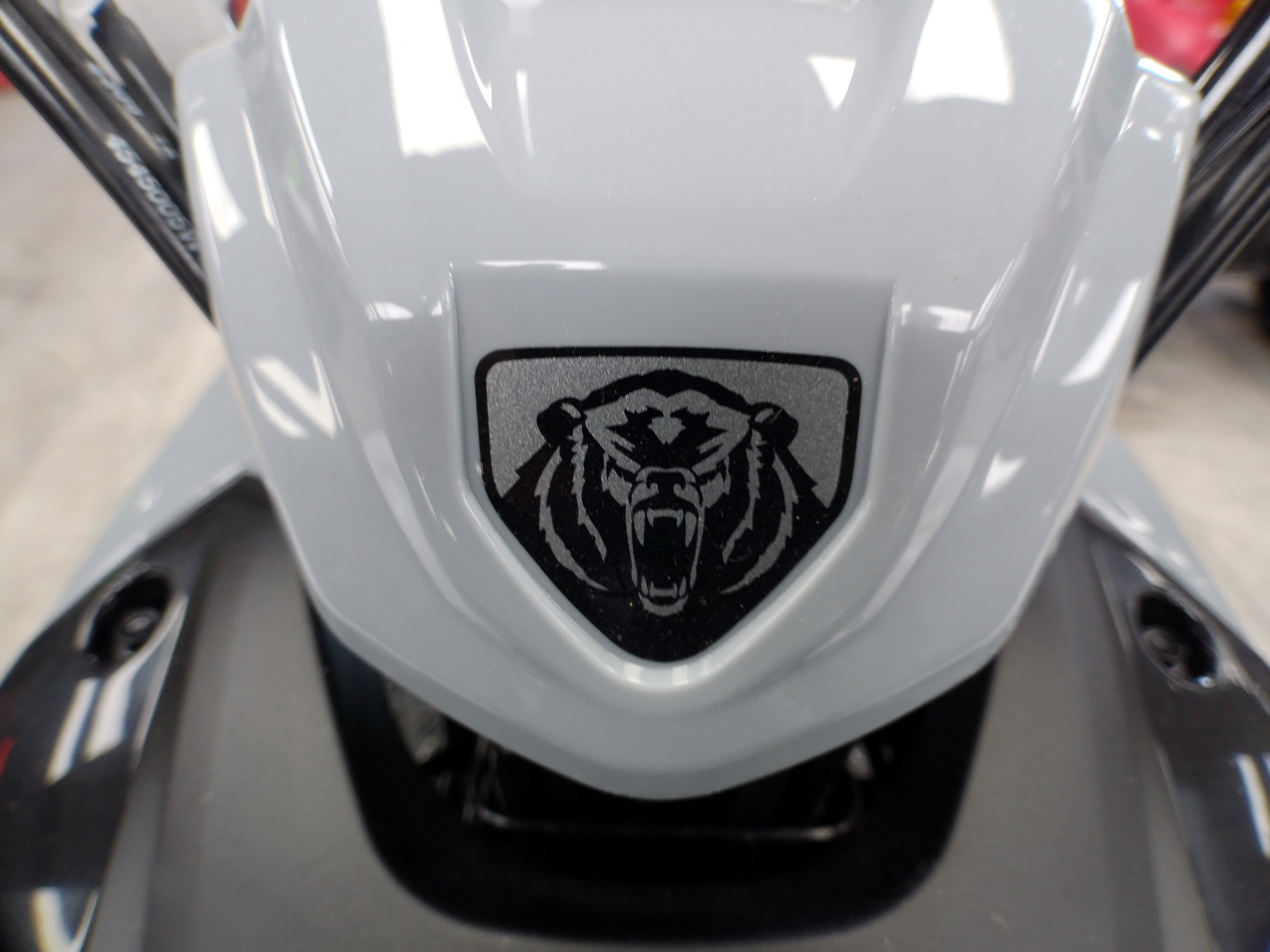 2024 Yamaha Grizzly 90 - Photo 10