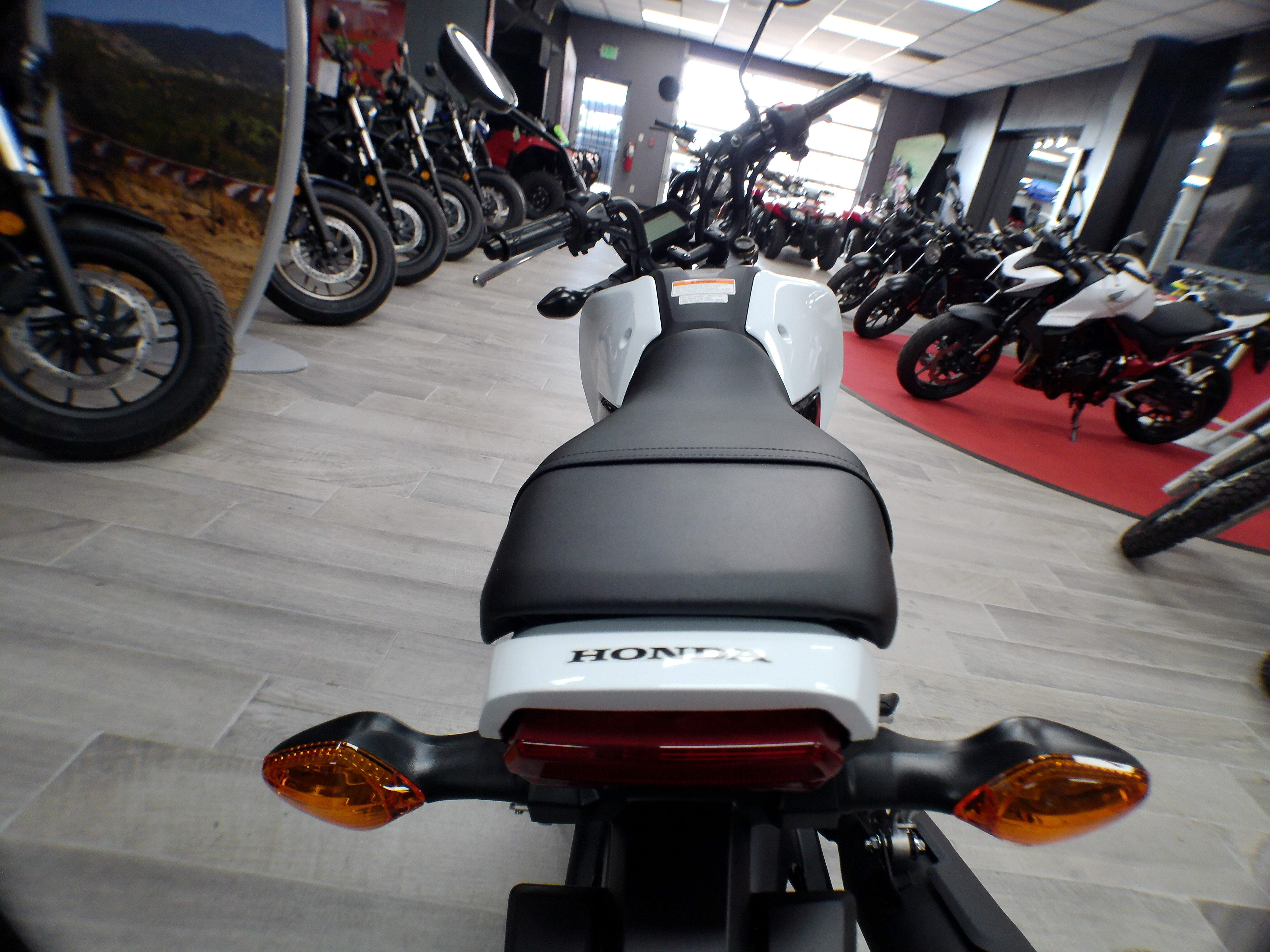 2025 Honda Grom™ Base - Photo 8