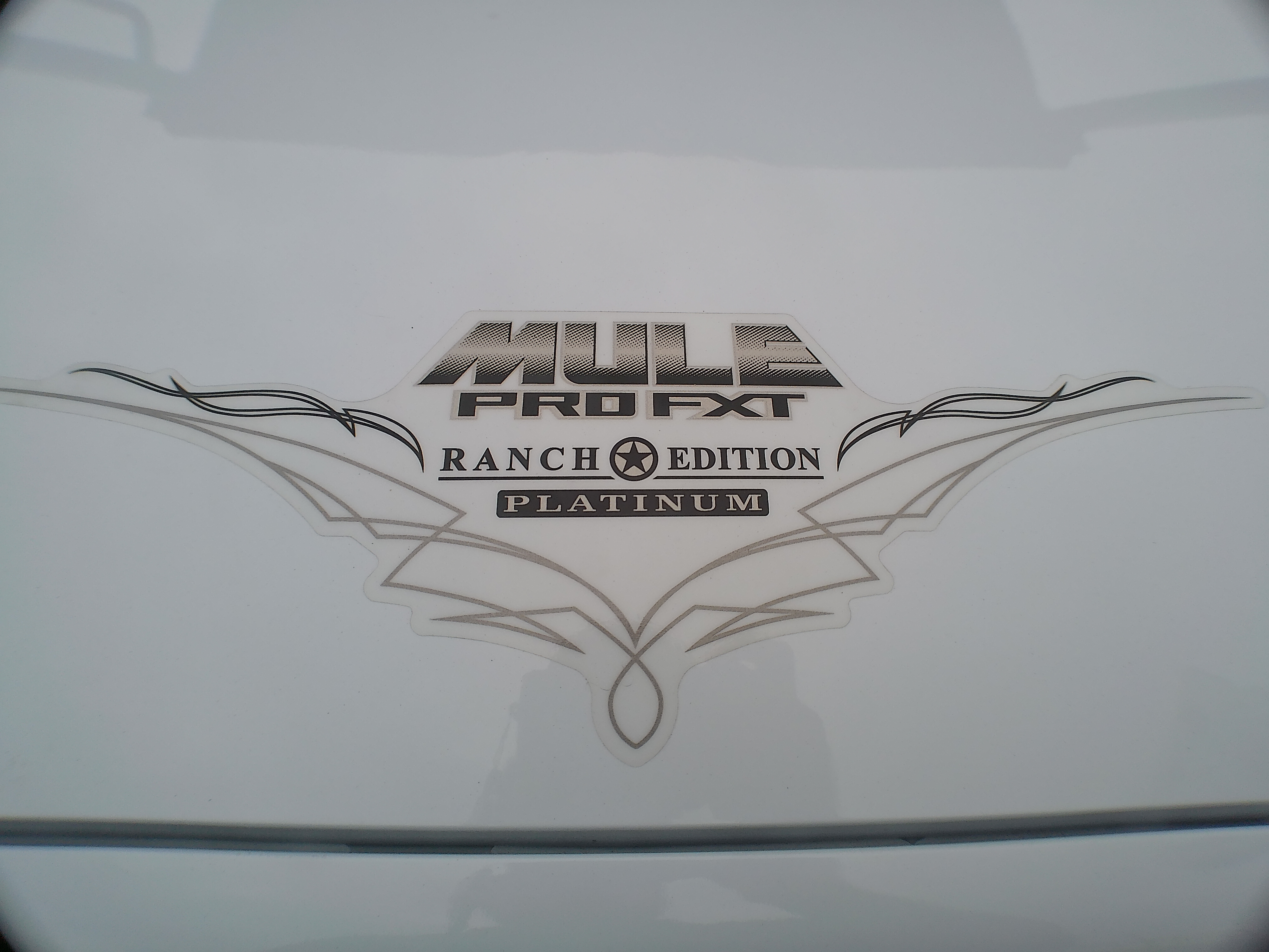 2025 Kawasaki Mule™ PRO-FXT™ 1000 Platinum Ranch Edition - Photo 6