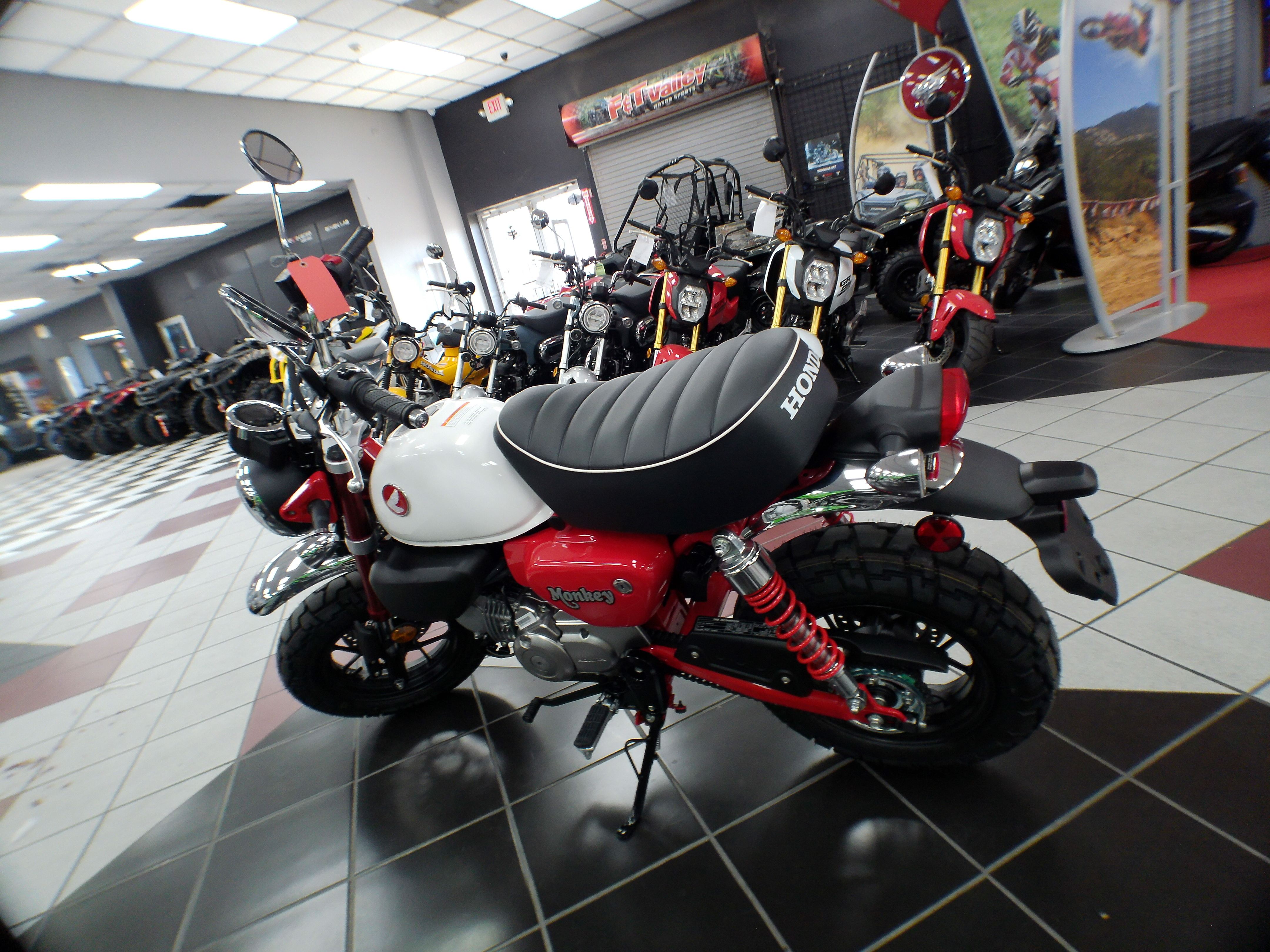 2025 Honda Monkey ABS - Photo 7