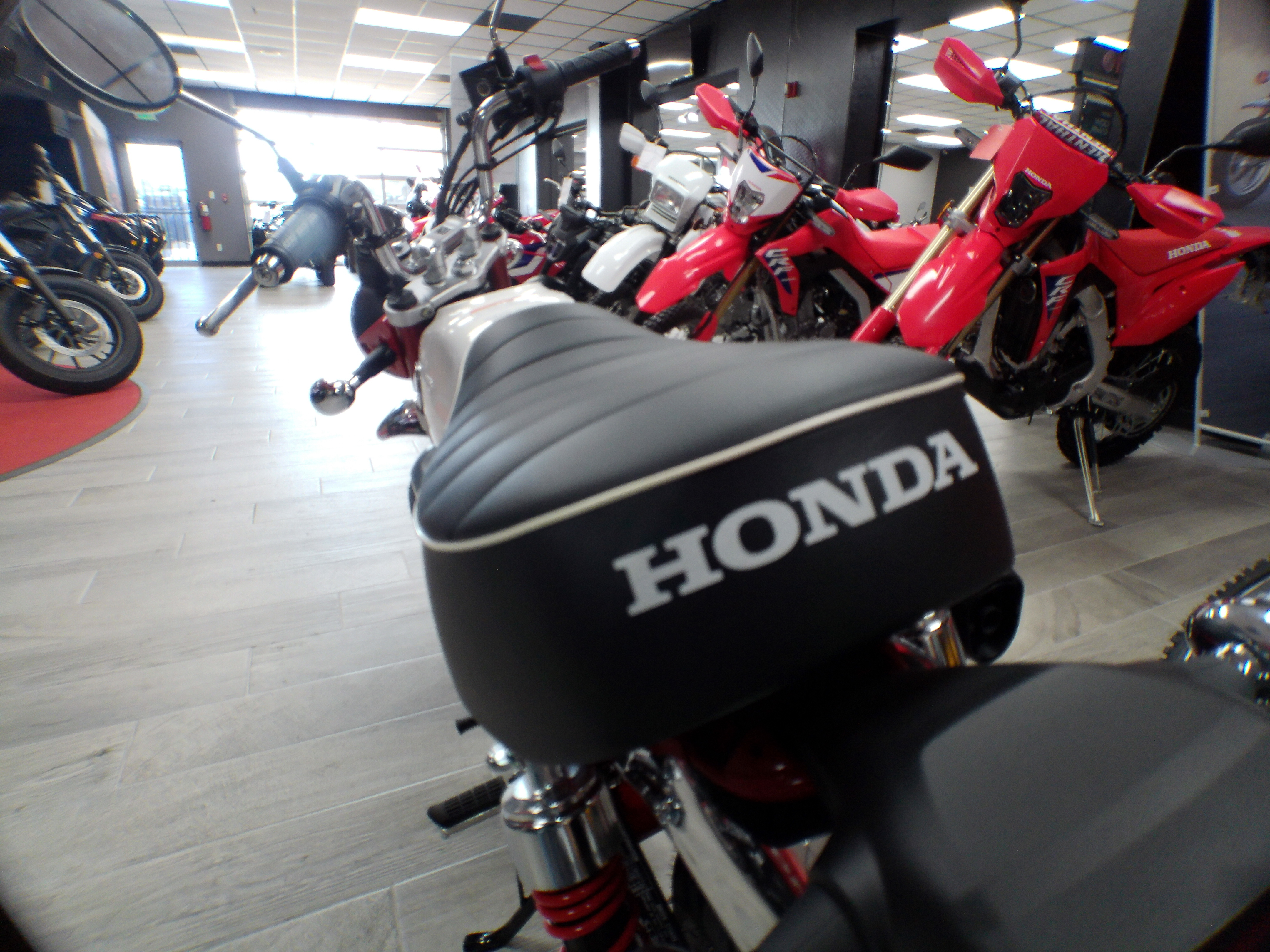 2025 Honda Monkey ABS - Photo 15