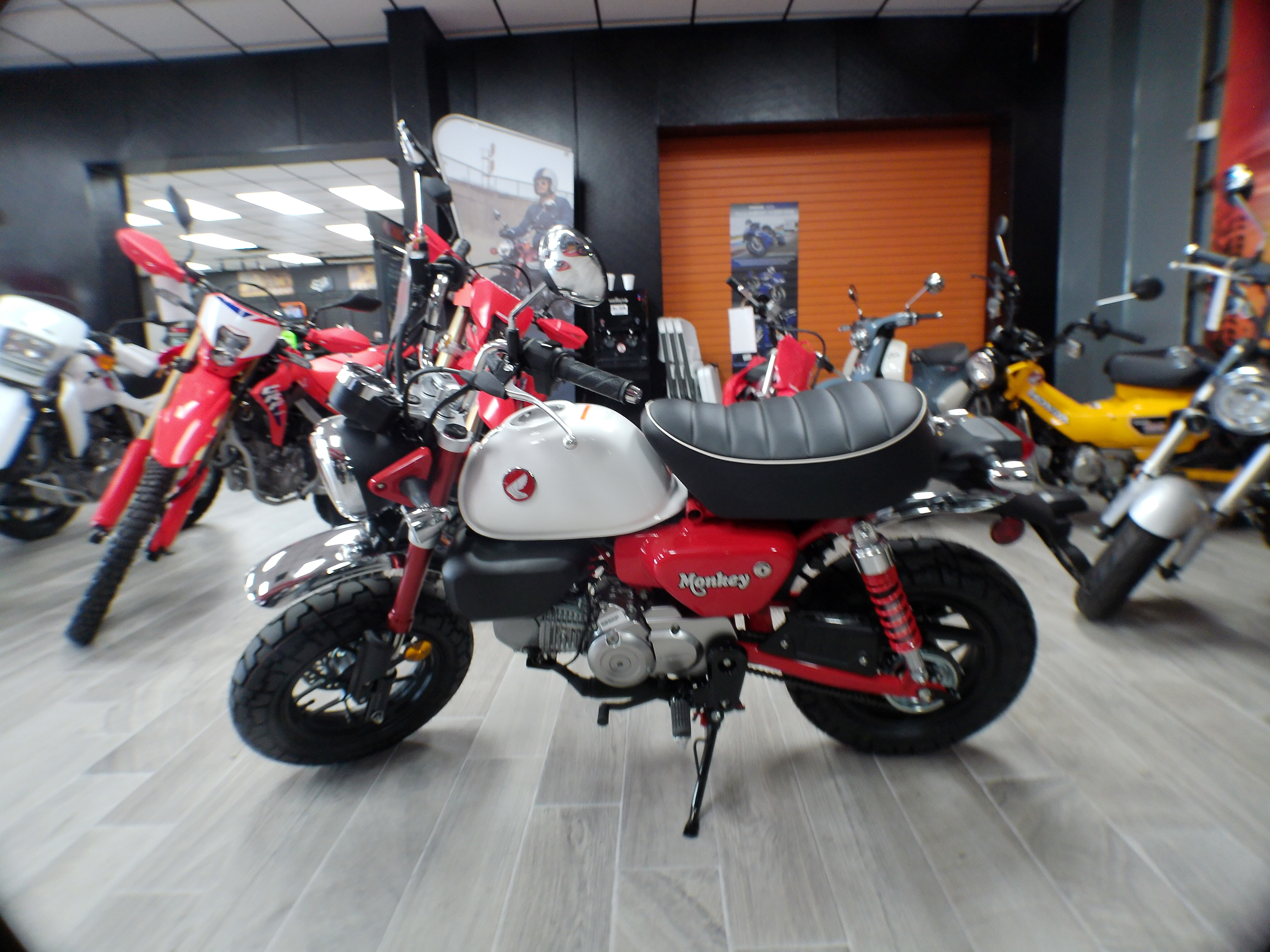 2025 Honda Monkey ABS - Photo 16