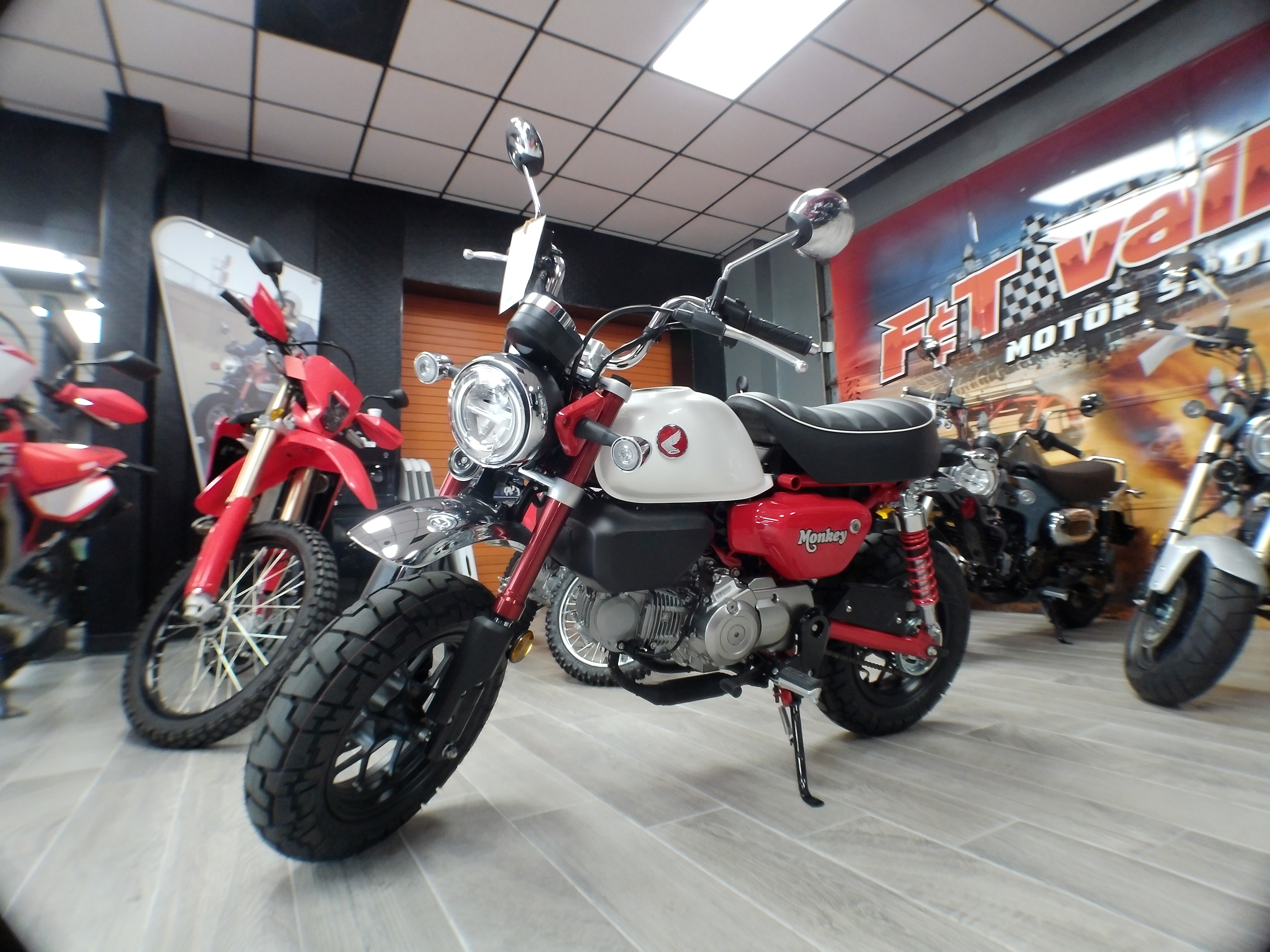 2025 Honda Monkey ABS - Photo 10