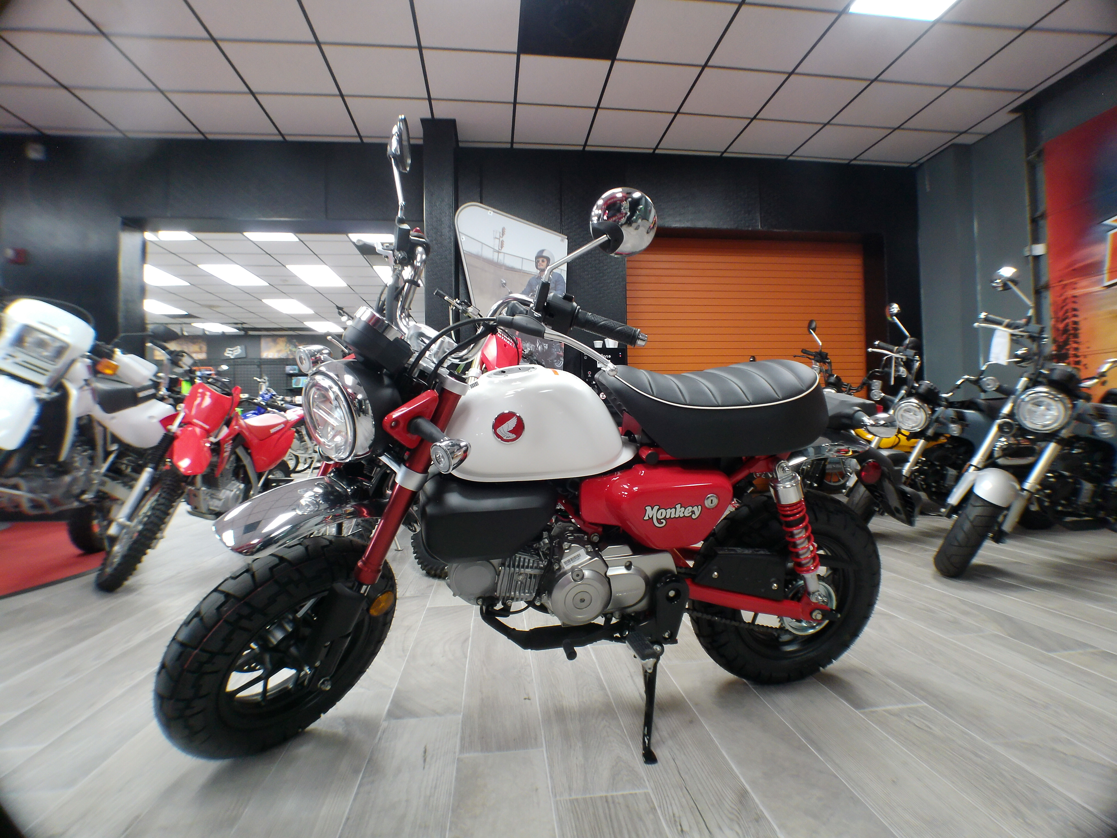 2025 Honda Monkey ABS - Photo 20